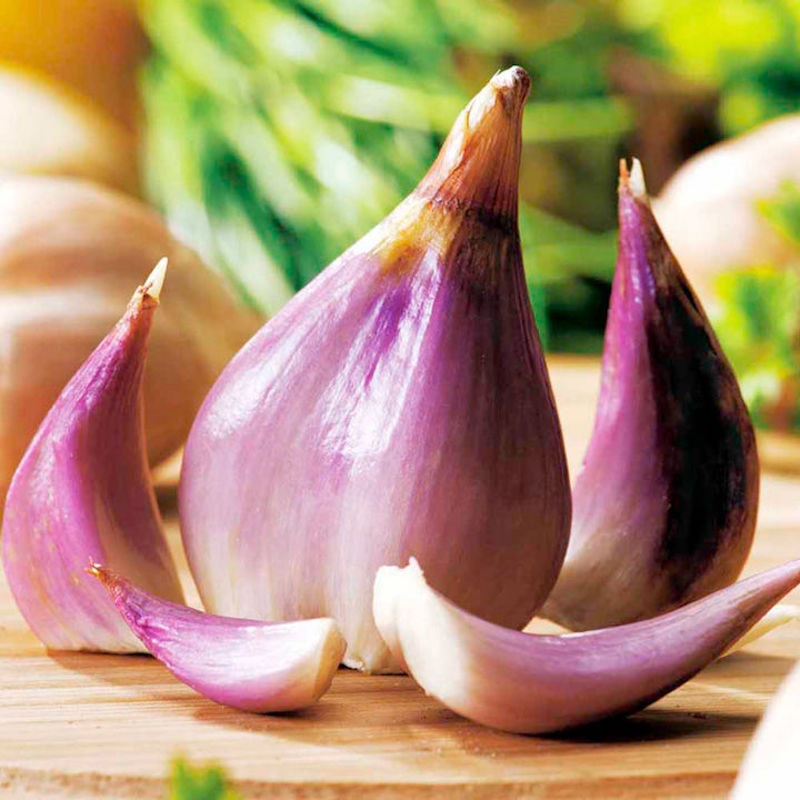 Shallot bulbs ‘Griselle’ from Suttons