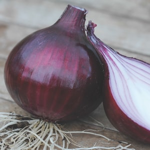 Onion 'Electric' from Suttons