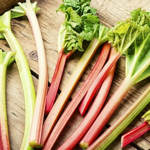 Rhubarb 'Victoria' from Suttons