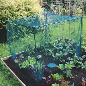 Fruit and Veg Cage from Suttons