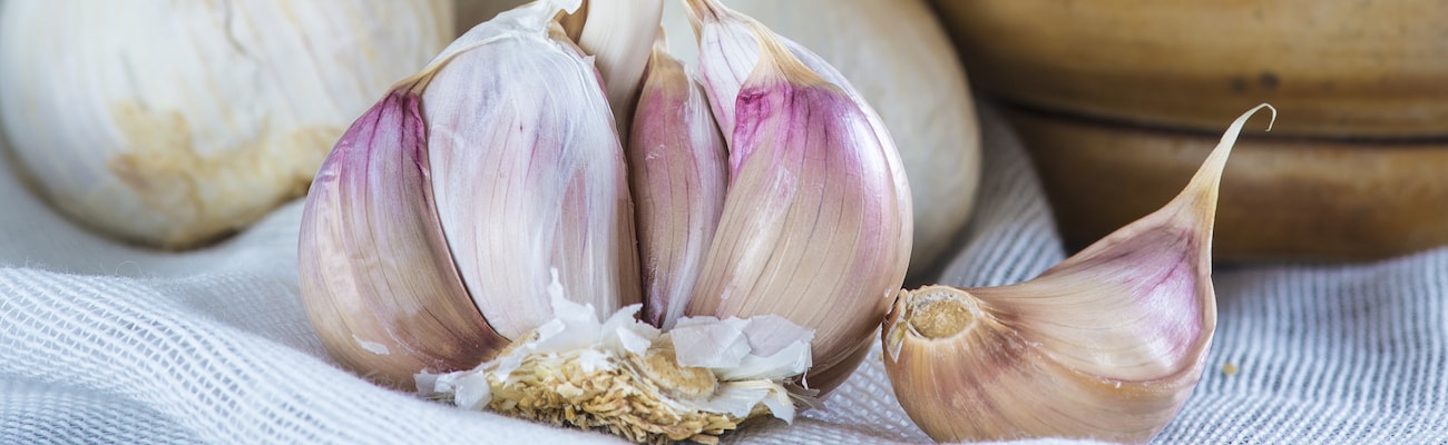 Garlic Bulbs - Kingsland Wight
