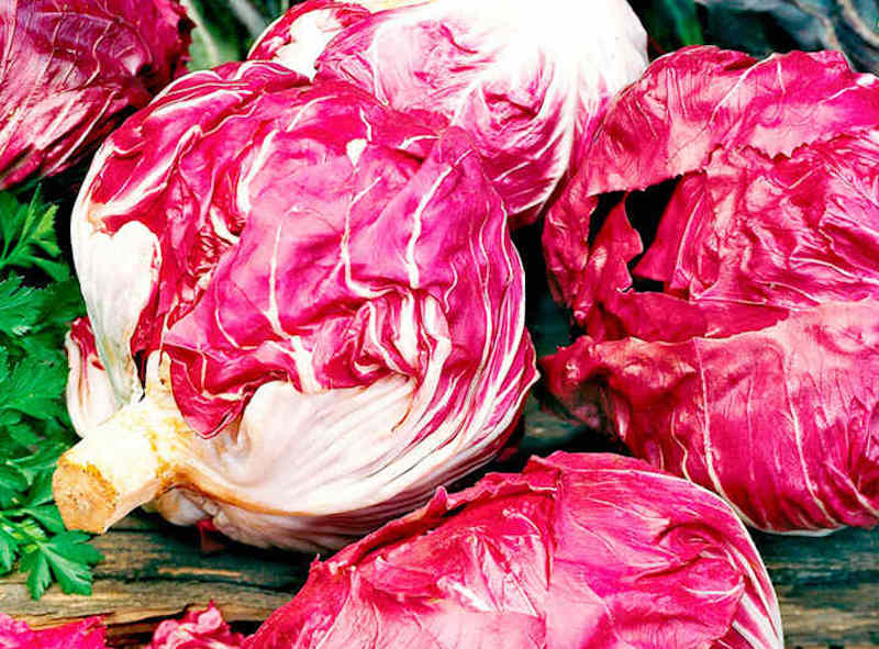 Radicchio seeds mix from Suttons