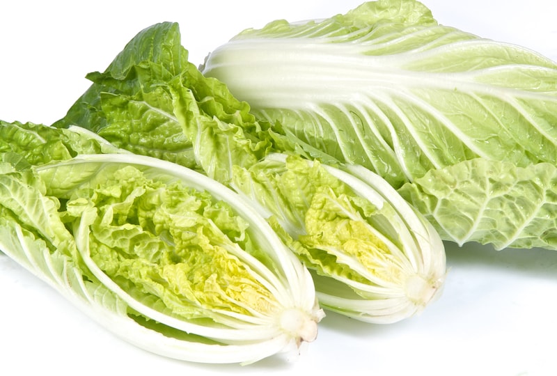 Chinese Cabbage Seeds ‘F1 Natsuki’ from Suttons
