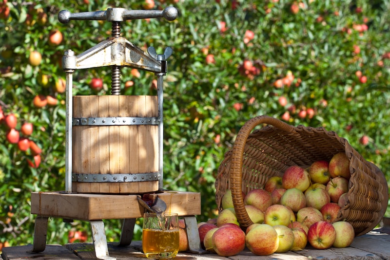 Stock image of a fruit press with a basket of apples