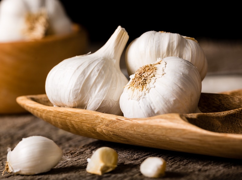 White harvested garlic bulbs on a wooden board