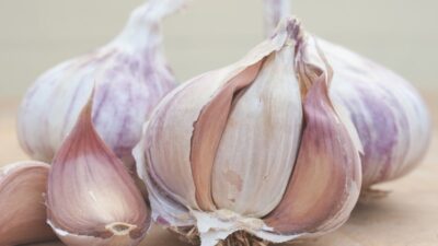 How to grow garlic over winter