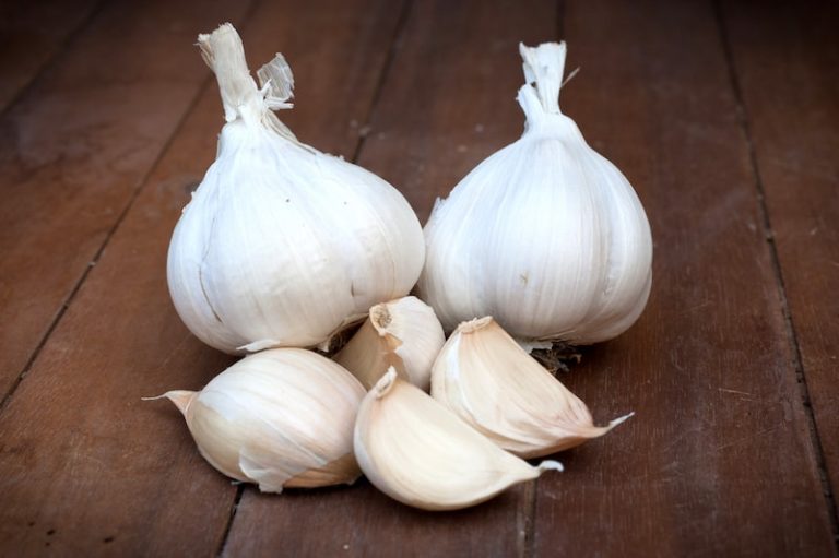 How to grow garlic over winter Suttons Gardening Grow How