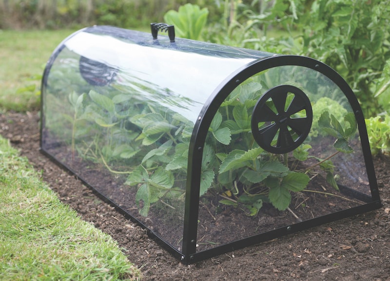Hard wearing kitchen garden cloche with ventilation and carry handle from Suttons