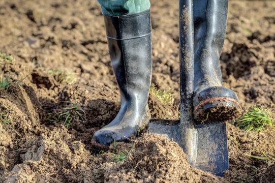 How to deal with a waterlogged garden - Suttons Gardening Grow How