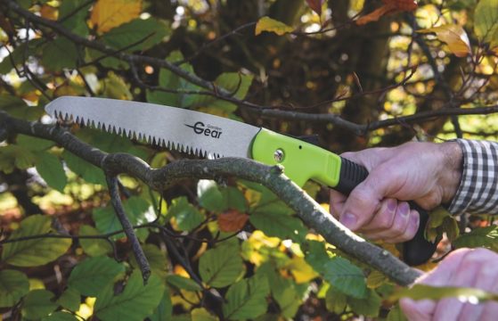 Top tips for autumn pruning - Suttons Gardening Grow How