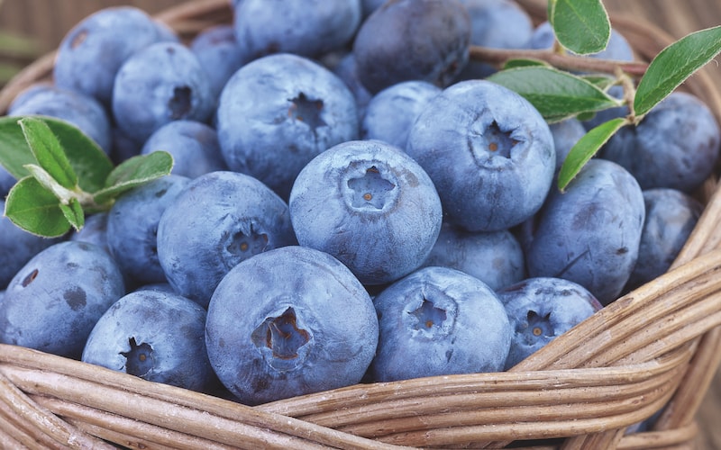 Blueberries in basket