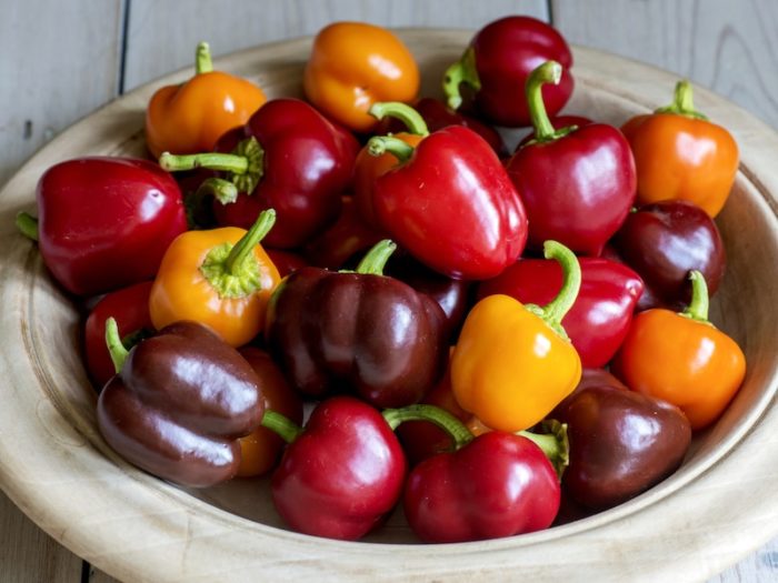 Best expert advice on growing sweet peppers Suttons Gardening Grow How