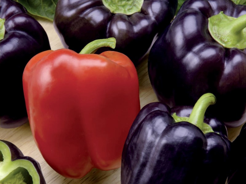 Different coloured red and purple peppers