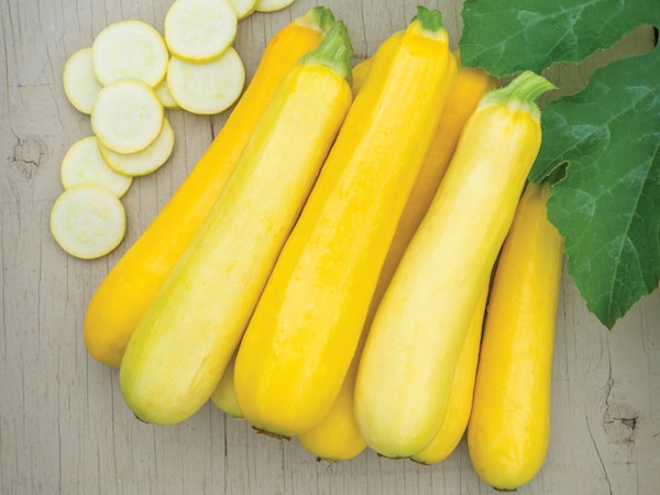 Group of yellow courgettes