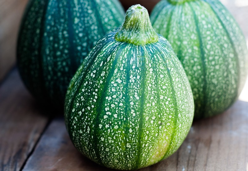 Round green courgette fruit
