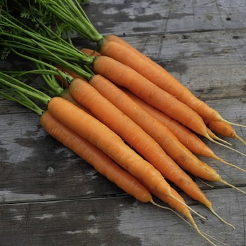 Long and skinny carrots with untried tops on wooden table