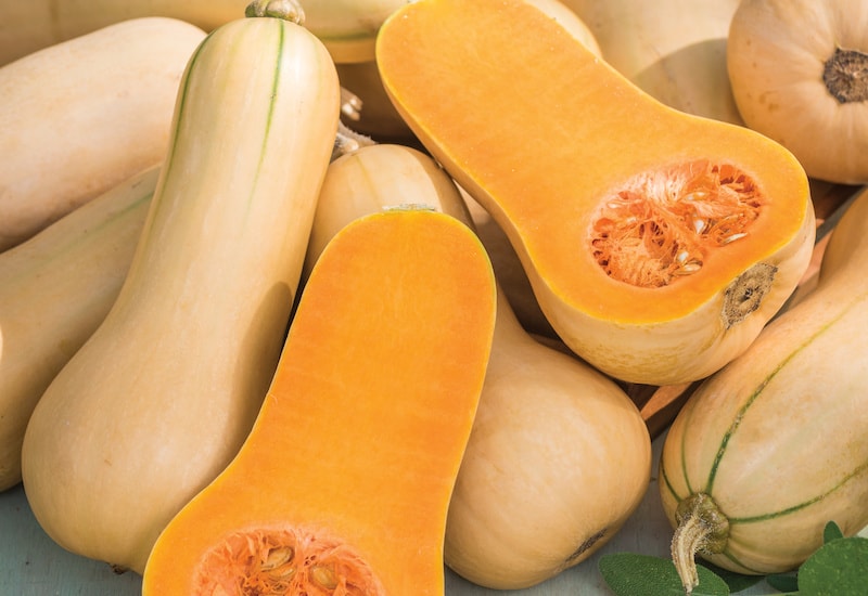 Group of butternut squash with cross section of squash cut open