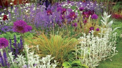 How to create a perennial border on a budget
