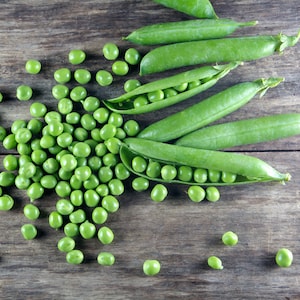 Pea (Organic) Seeds - Kelvedon Wonder from Suttons
