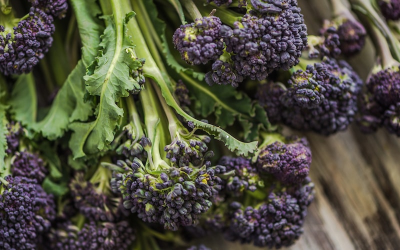 Purple sprouting broccoli on table