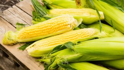Top tips for growing sweetcorn