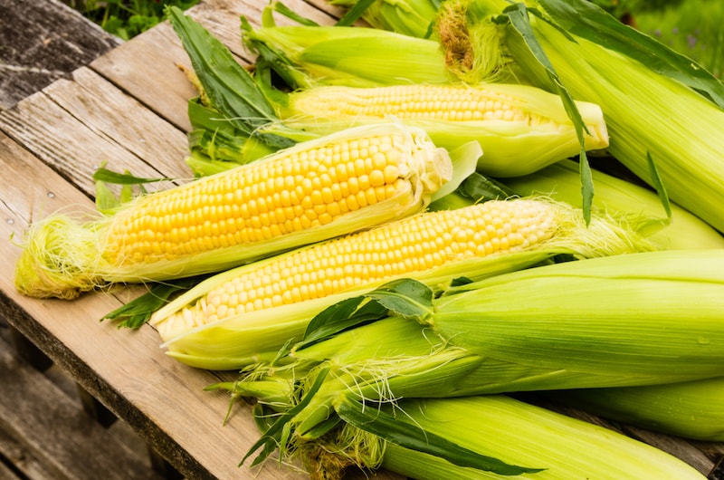 Sweetcorn cobs on wooden table