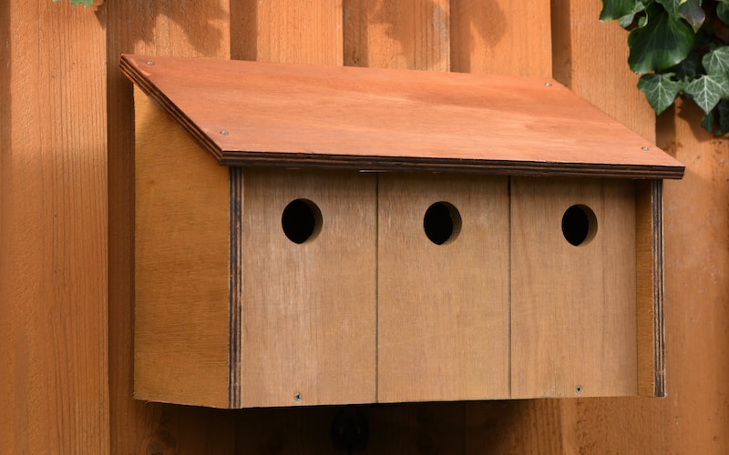 Triple sparrow nesting box on fence