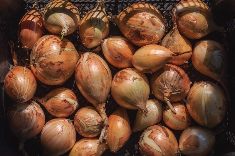 Collection of round shallots in basket