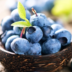 Blueberries in bowl