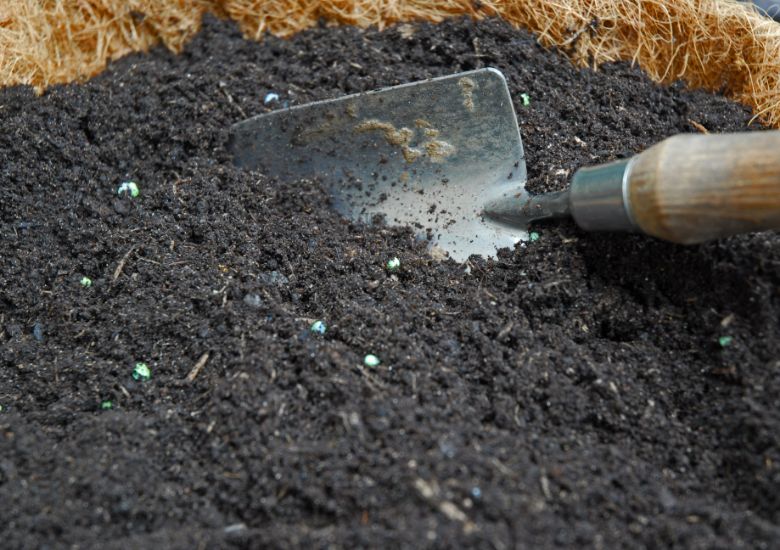 Image shows a photos of a trowel digging into some compost. The trowel has a pale wooden handle and silver metal scoop.
