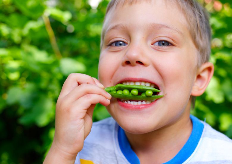 Image shows a close-up of a child's face - the child is looking at the camera whilst holding a bright-green pod of peas up to its mouth and biting on it. The pea pod has burst open to show the 6 peas inside.