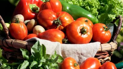 How to grow organic vegetables from seed