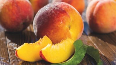 How to grow apricot, peach and nectarine trees