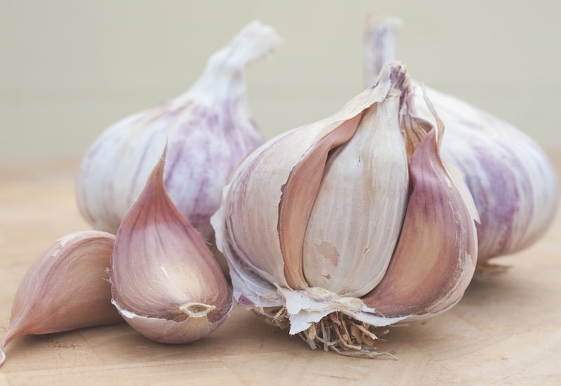Pink skinned garlic with separate cloves