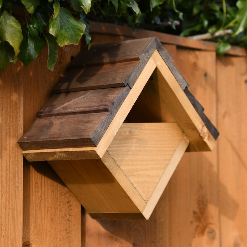 Triange robin nest box