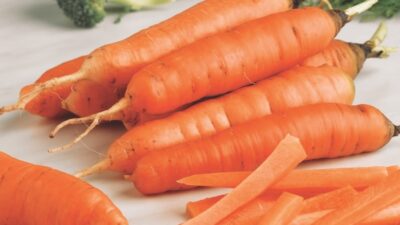 How to grow carrots