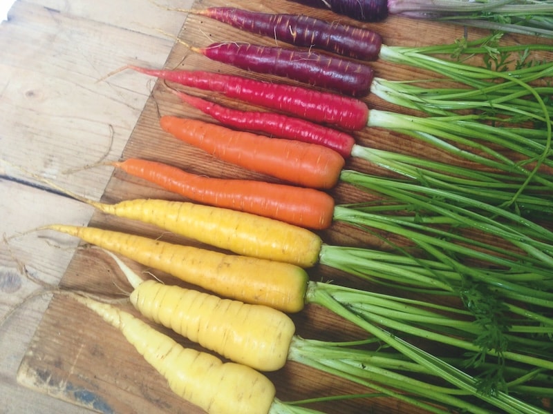 Colourful rainbow carrot on wooden board