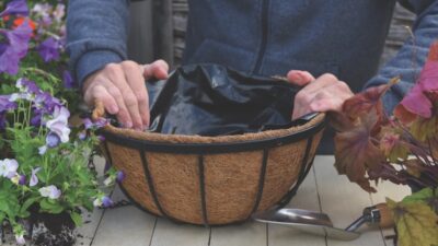 How to plant hanging baskets