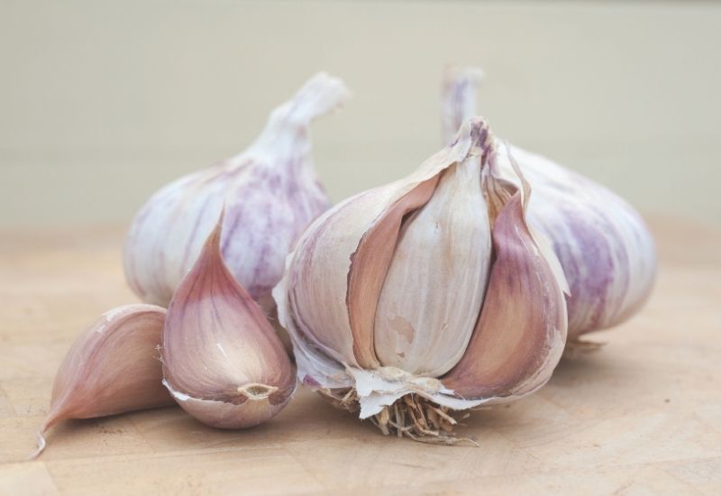 Garlic 