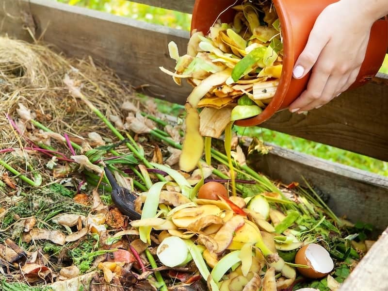 A person pouring vegetable scraps into a compost bin in a garden. The waste includes vegetable peels and leafy greens, contributing to the organic compost pile. The compost bin is surrounded by greenery, with soil and gardening tools visible nearby.