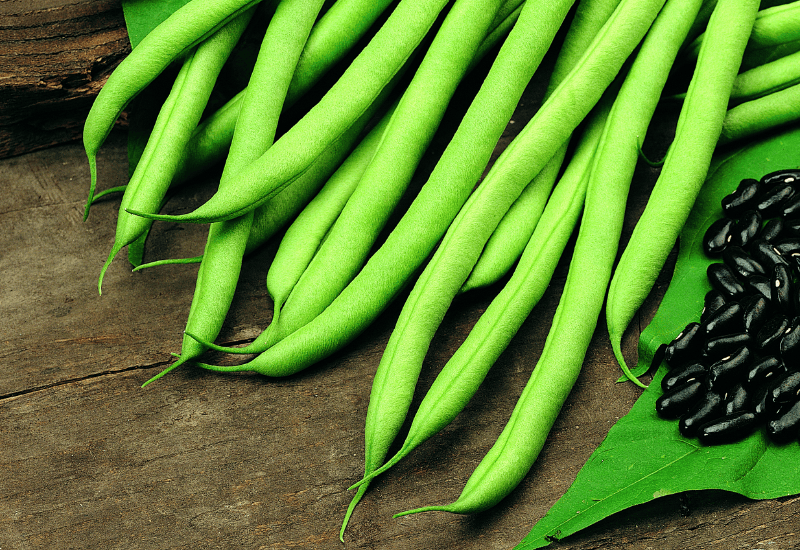 Climbing French Bean 'Cobra' variety, from Suttons.