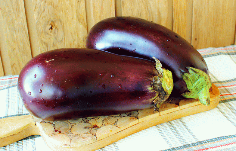 aubergine f1 galine