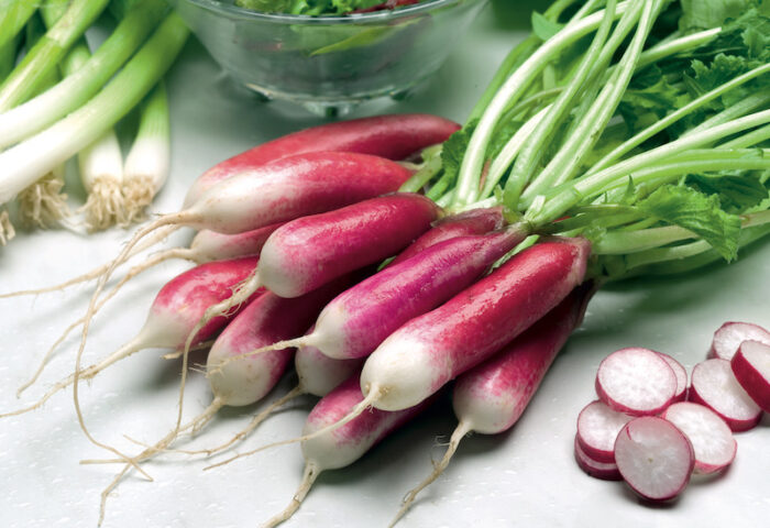 radish.french.breakfast.3.suttons.jpg