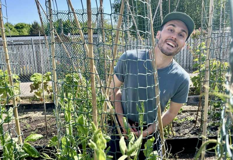 Richard Bowman growing vegetable plants in cages.