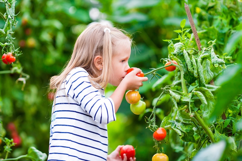 girl smelling tomatoes