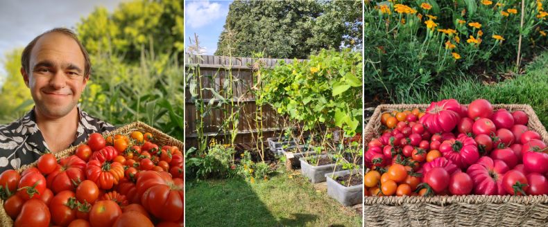 Alex Smith holding a basket or homegrown organic tomatoes and nightshade plants growing in a sunny garden.