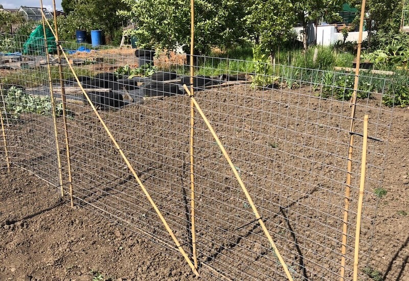 vertical veg growing frame