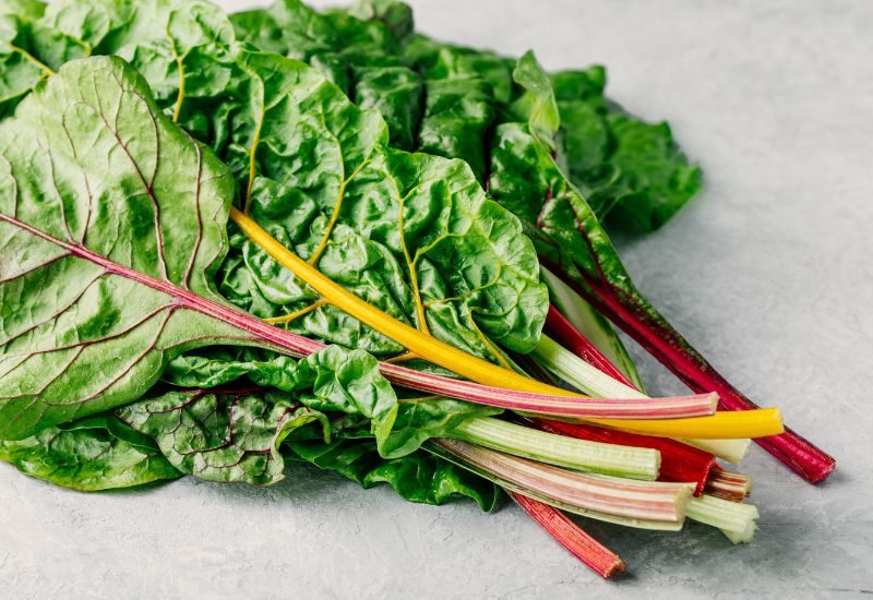 Leaf Beet 'Bright Lights' leaves