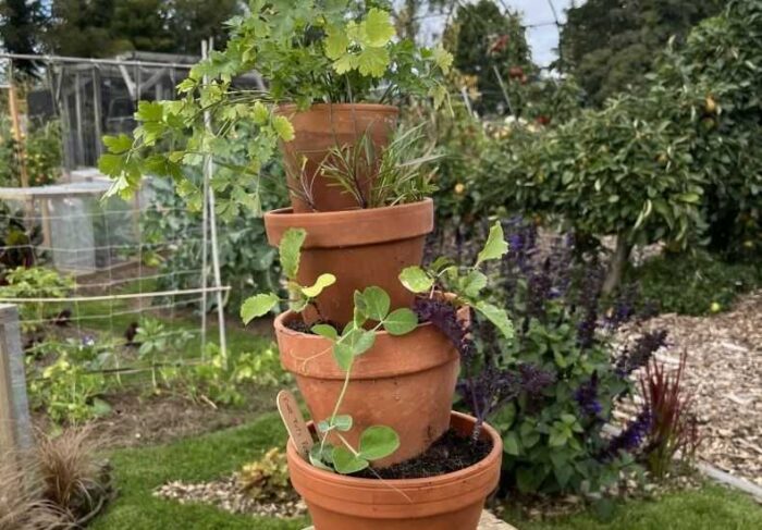 richard-bowman-vertical-veg-pots-2.jpg