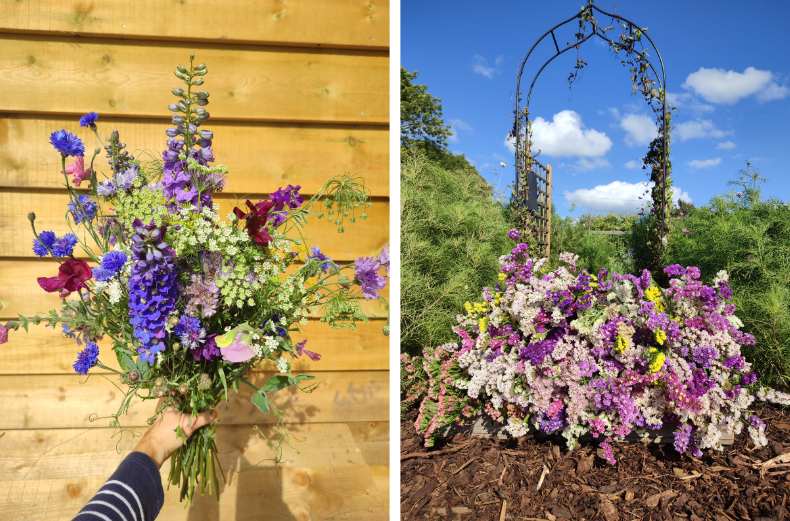Vibrant cut flower displays 